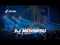 Download Lagu DJ AKON RIGHT NOW MENIMISU PALE PALE - RRD MUSIC