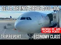 TRIP REPORT Delta Airlines Airbus A330-300 ECONOMY Minneapolis MSP - Phoenix PHX
