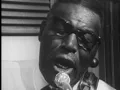 Howlin' Wolf - Down In The Bottom