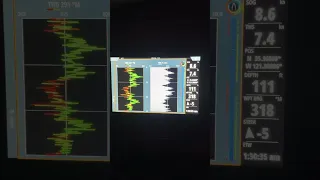 Look at all these tacks! WTF!? #ourladydefiant #yachtracing #sailing #cruising