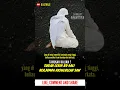 habib munzir al musawa sudah 80 kali mimpi bertemu rasulullah #viral #shortsvideo #shorts