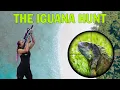 Download Lagu The Iguana Hunt | a film about airguns