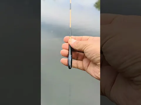 Made the world's smallest stick #shorts #ytshorts