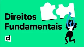 CARACTERÍSTICAS DOS DIREITOS FUNDAMENTAIS | DIREITO CONSTITUCIONAL | QUER ENTENDER DIREITO?