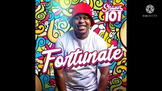 shaun 101 phazamisa main mix 
