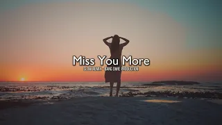 Download Slow Remix  - Miss You More ( Bang Dwie Production ) MP3