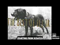 American Pitbull Terrier Cate s gr ch nigerino the Eli strain