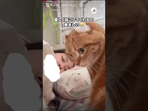 優しく起こしてくれるの羨ましい｜PECO