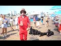 Download Lagu Walking My Pack Of RARE Golden Retrievers.