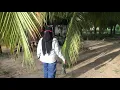 Download Lagu Cari tuak di kebun tengah hutan