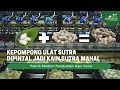 Lagu RAHASIA PABRIK SUTERA Cara Pabrik Memintal Kepompong Ulat Sutra Menjadi Kain Sutra