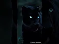 Download Lagu black cat.#ai #music #remix #love #ringtone #instrumental #animas