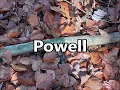 POWELL as a Family Name Meaning and Origin