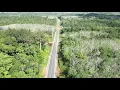 Download Lagu Trip membelah hutan kalimantan dari kota Sintang menuju Pontianak
