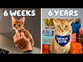 Where did the time go