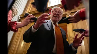 Schumer's "Weak Leadership" Could Hurt Democrats, Help Trump: Wendy Schiller