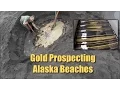 Download Lagu Alaska Beach Prospecting - LOTS of FINE Gold