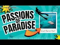 Download Lagu Passions of Paradise - Great Barrier Reef - Insight Sessions 2024