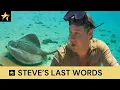 Steve Irwin s LAST Words before passing away - Interview with Steve s Camerman