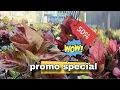 Download Lagu Stock Bikin greget 🔥 Harga Ekonomis promo Hemat eps.2.113