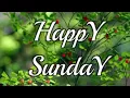 good morning sunday images best wishes for everyone