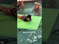 Download Lagu This baby finishing his swimming lessons is too wholesome ❤️