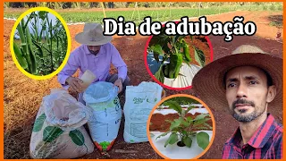 Como fazer a mistura dos adubos para fertirrigação, nitrogênio, potacio, cálcio e magnésio.