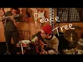 Download Lagu ハナレグミ - ｢Peace Tree feat. BOSE (from スチャダラパー）、AFRA｣  Music Video