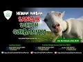 Download Lagu Fiqih Untuk Pemula - Pembahasan Udhiyah #7 Hewan Qurban Sanglir Sah kah Qurbannya