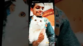 بندق حبيبي تيك توك البطة ضحك لا ركب دندنها