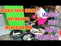 Download Lagu BISNIS IKAN SEGAR UNTUNGNYA MENGGIURKAN