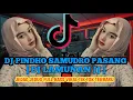 Download Lagu DJ PINDHO SAMUDRO PASANG JEDAG JEDUG FULL BASS || DJ LAMUNAN PANY FVNKY VIRAL TIK TOK TERBARU