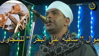 اسمع مواويل روعه مع فنان الصعيد الريس محمد عبد العال البنجاوى من افراح الصعيد 