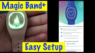 How to Set Up MagicBand Fast and Easy