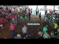 2024 Meigs County Fair Livestock Sale Chickens