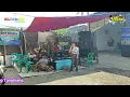 Download Lagu SELVI - AKU TAK RELA - SILIWANGI ENTERTAINMENT - KHOE PRO AUDIO