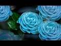christina perri - mothers [official audio]