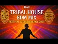 Download Lagu HaN – Tribal House EDM Mix | Festival \u0026 Club Energy 2025