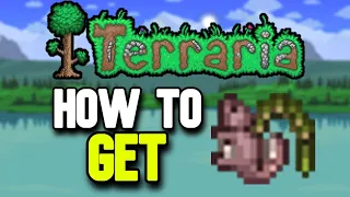 How to Get a Squirrel Hook in Terraria