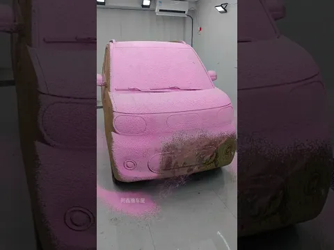 please meri car saaf kardo#shorts