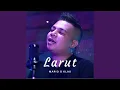 Download Lagu Larut