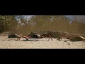 Snow Crab Dance - Original EDM Animation
