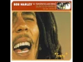 Bob Marley vs. Funkstar De Luxe - Sun Is Shining (Radio De Luxe Edit) (1999)