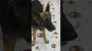 Fun With tuffu
