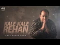 Lagu rog pyar de dila nu je na laye - Rahat Fateh Ali Khan-latest punjabi song.