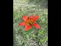 Head over boots (by Jon Pardi) 1 hour