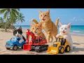 Download Lagu Mama Cat Trims Fur on the Farm and Makes Tiger Hat For Kittens At Home🐾🎩🐯