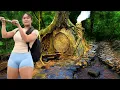Download Lagu Build a Primitive Shelter in a Giant Tree - Catch and Cook...Great Bushcraft Trip /Video Time-Lapse