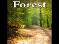Healing Gentle Woodland Bird Songs