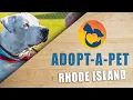 Adopt-A-Pet - Rhode Island